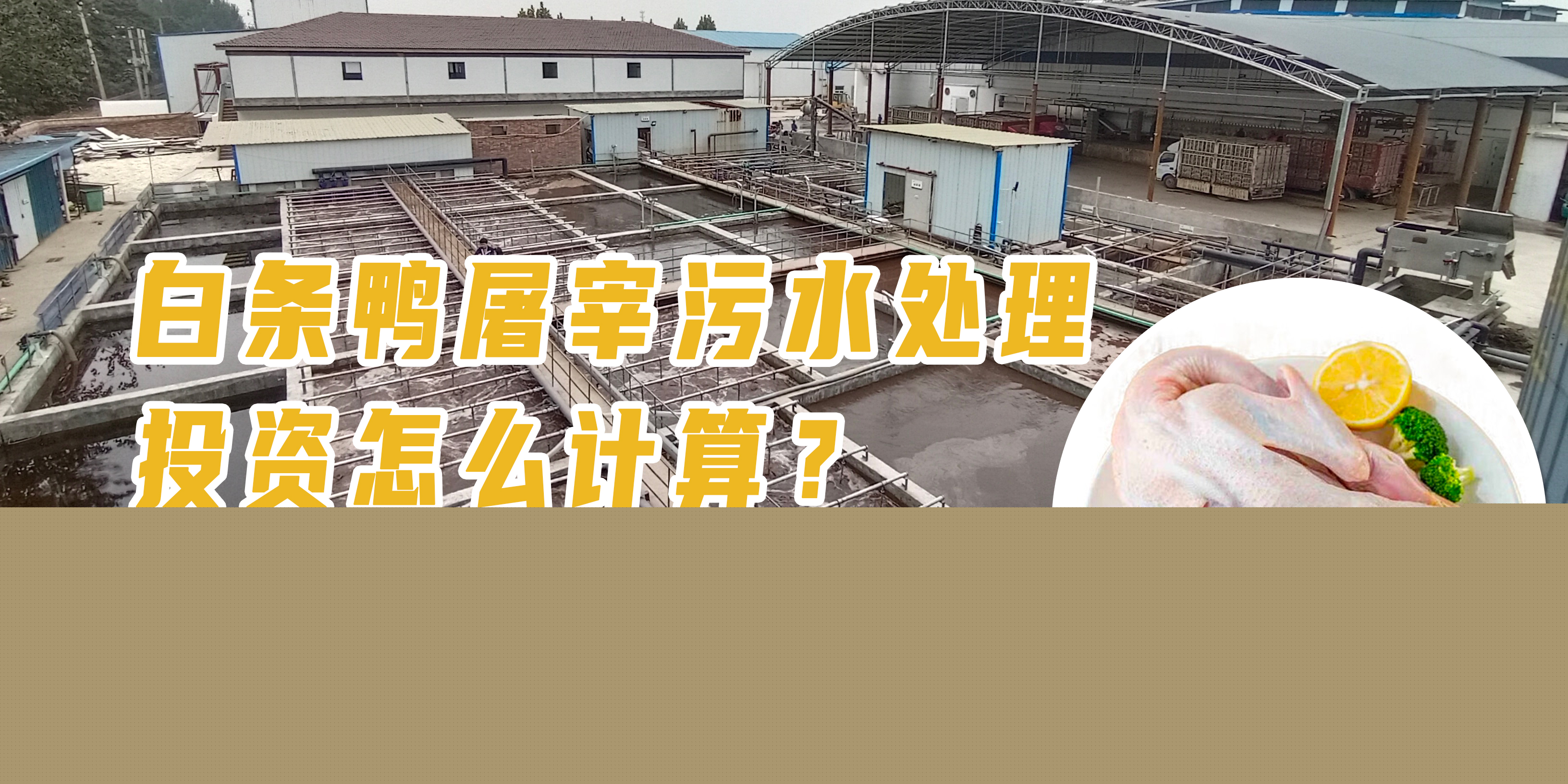 白條鴨屠宰污水處理投資怎么計算？